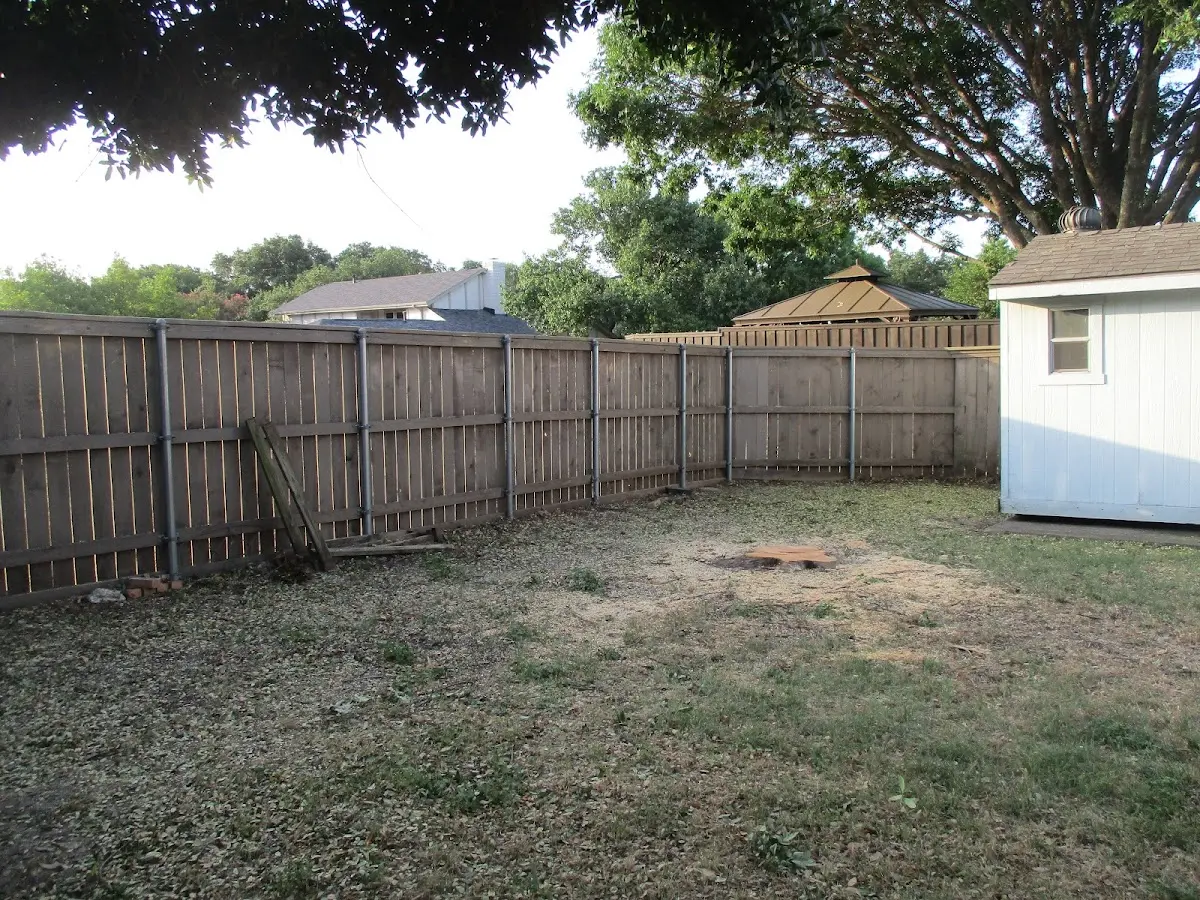 Cleared yard after professional tree removal in Deer Lodge
